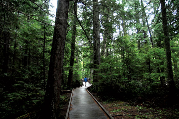 PLACES: Trail of the Cedars