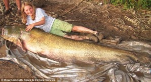 Young Girl Catches 200-Pound Catfish