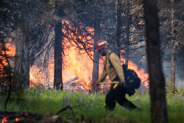 Photos: Wildfire Training at the Boorman Station