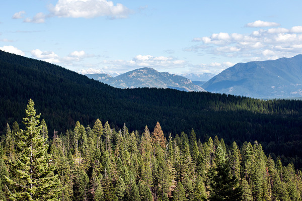 A tour of F. H. Stoltze land in Haskill Basin on Sept. 4, 2014. Greg Lindstrom | Flathead Beacon
