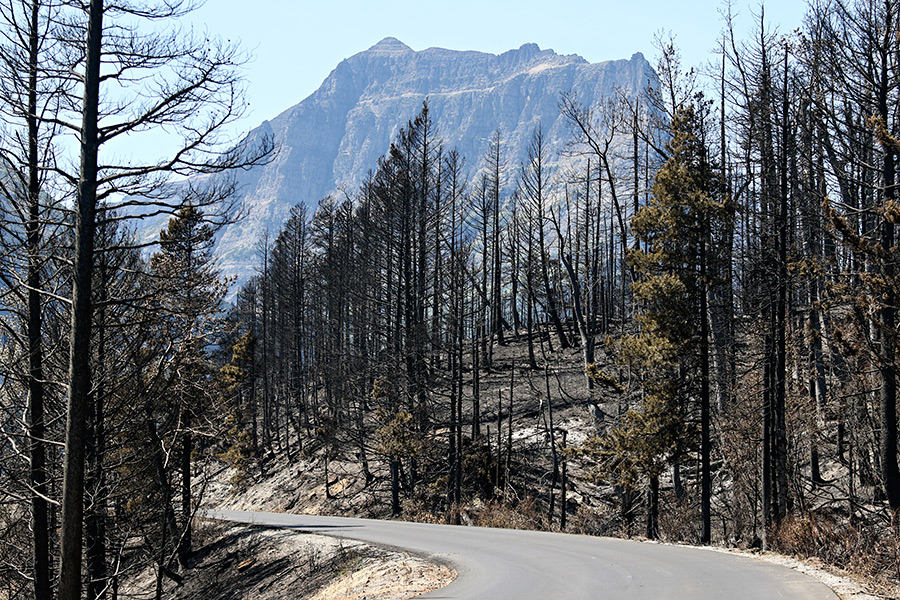 Photos Reynolds Creek Fire in Glacier National Park Flathead Beacon