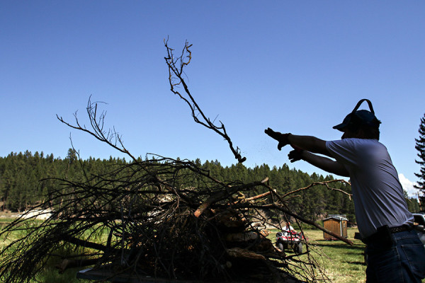 Ryan Trout tosses brush onto a slash pile at Centennial Farm on Aug. 11, 2015. Greg Lindstrom | Flathead Beacon