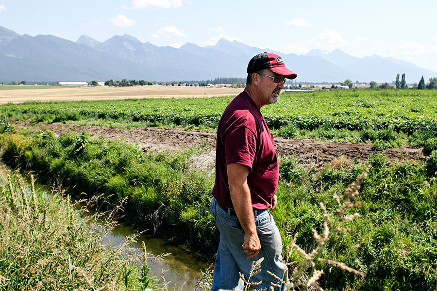 Jack Lake looks at the low levels of the irrigation ditch running through his property near Ronan on Aug. 12, 2015. Greg Lindstrom | Flathead Beacon