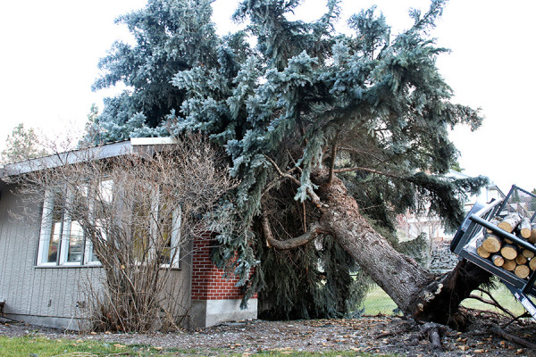 Photos: Wind Storm Damage