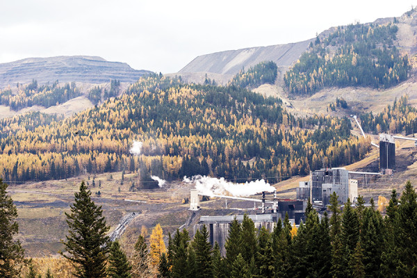 Conservation Groups Ask Canadian Government to Halt Proposed B.C. Mines