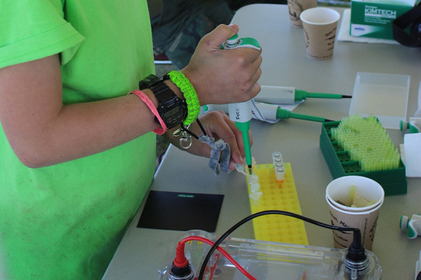 Second Annual BioBlitz Scheduled at FVCC
