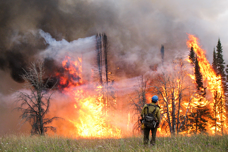 A member of the Flathead Hotshots watches a blaze as they work on the Eureka Fire near Ennis in 2013. Courtesy Flathead Hotshots