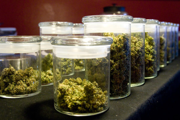 Jars of medical marijuana are seen at a clinic in Kalispell. Beacon File Photo