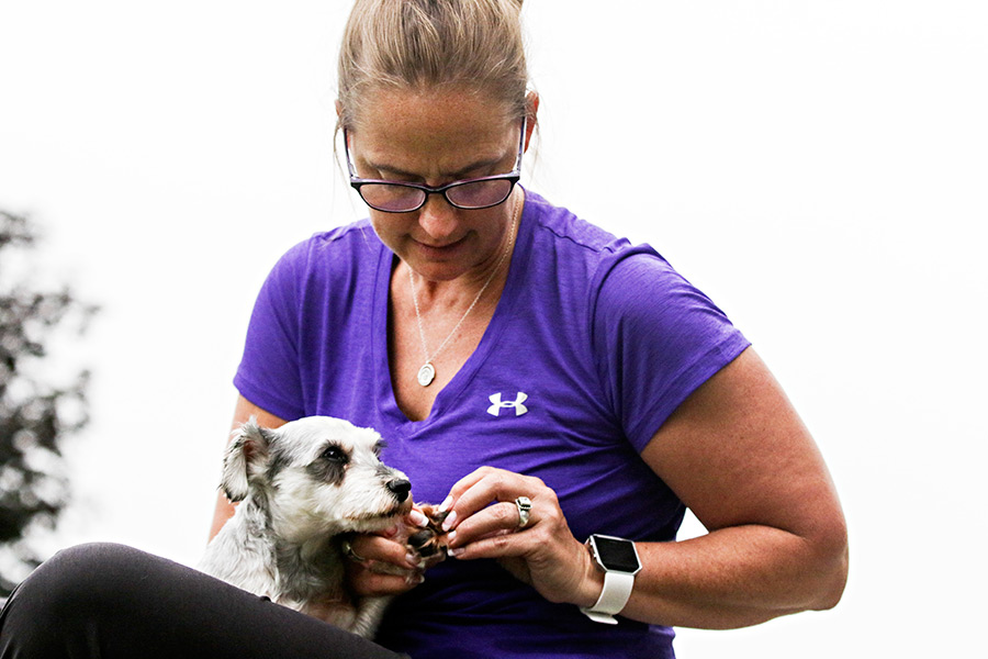 Lynette Duford shows the paws on Maze, a pregnant schnauzer recovered from a puppy mill in St. Ignatius, on Aug. 30, 2016. Greg Lindstrom | Flathead Beacon