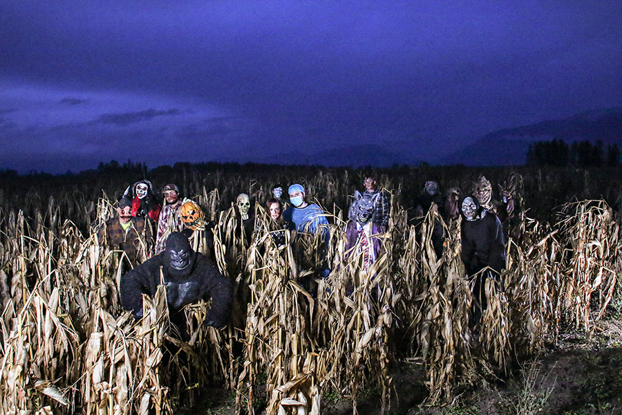 stickleys haunted corn maze