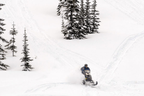 Robbie Holman plays in the fresh powder off the groomed snowmobile trails between the Canyon Creek Trail Head and Big Mountain. Beacon File Photo
