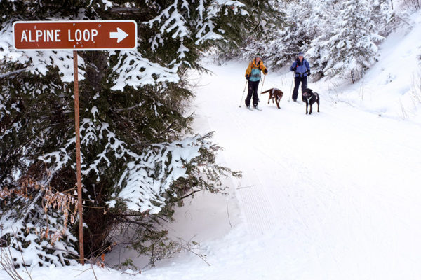 Skiers cruise the nordic trails on Blacktail Mountain. Beacon File Photo