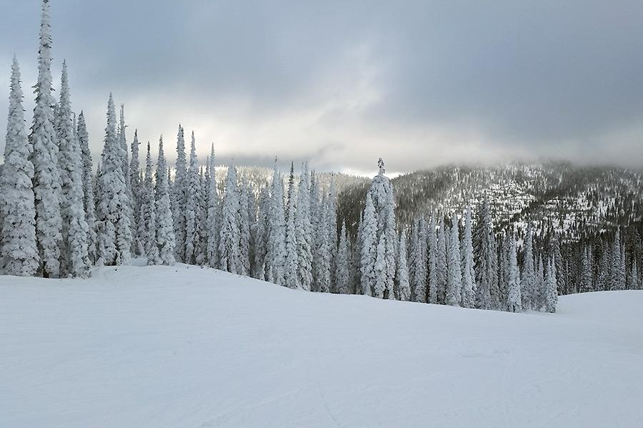 Faces and Places: December 2016 - Flathead Beacon