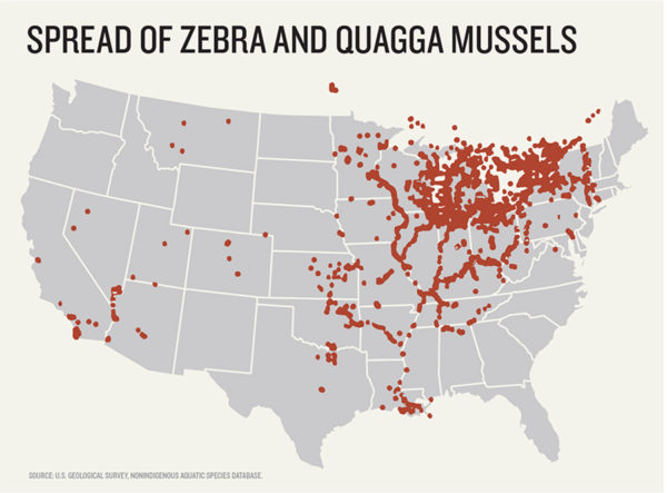 mussels_map