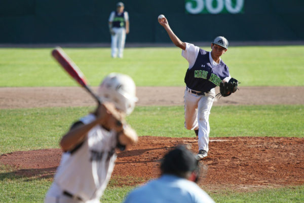 Baseball Season Heats Up with State Tournament Action