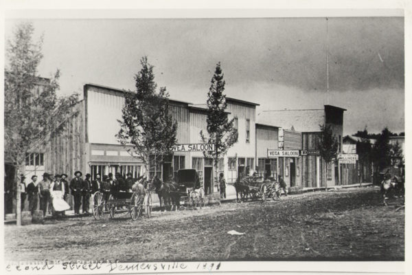 The Short Wild Life of Demersville