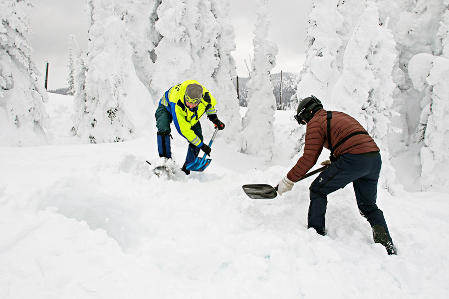 Avalanche Dog Certification Flathead Beacon