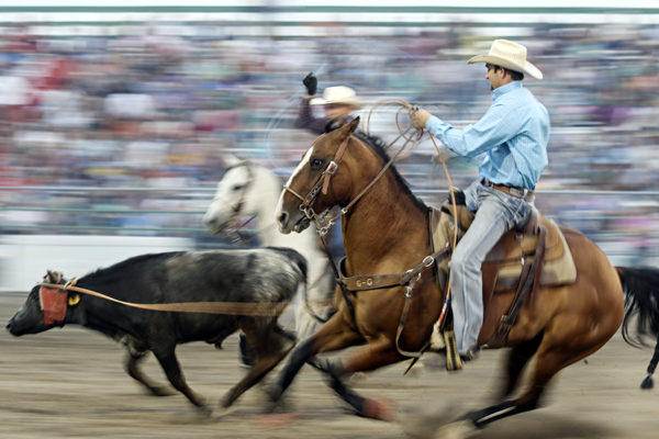Spotlight Event: Bigfork Summer Rodeo