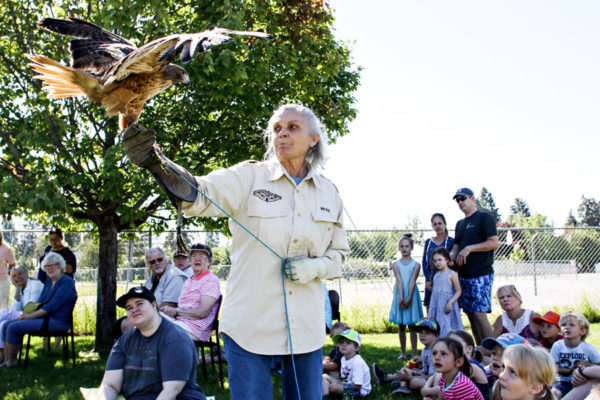 Wild Wings Returns to Whitefish Community Library