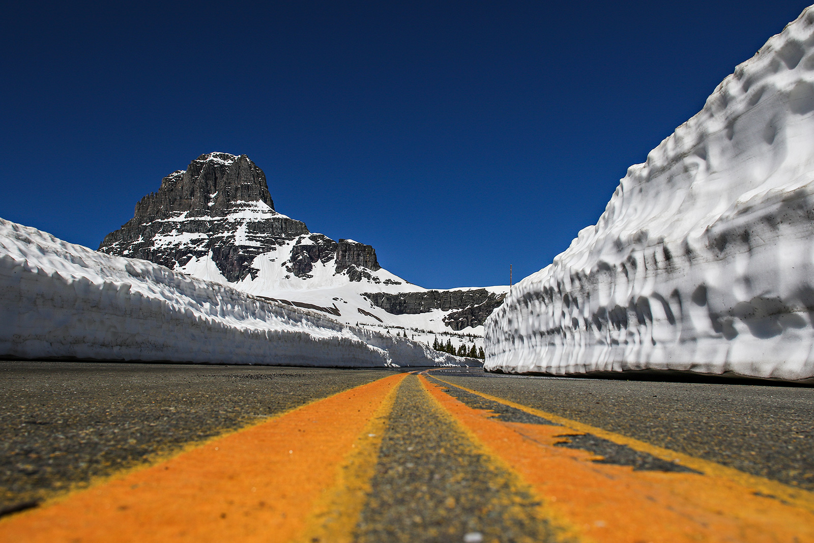 GoingtotheSun Road Fully Opens for Summer serpaja america