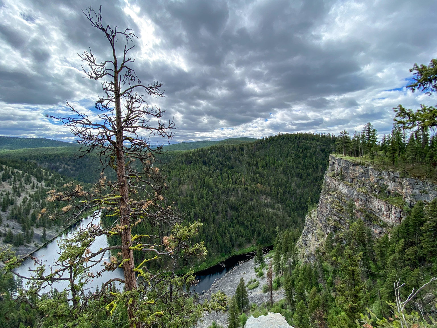 Our Favorite News Features of 2025 - Flathead Beacon
