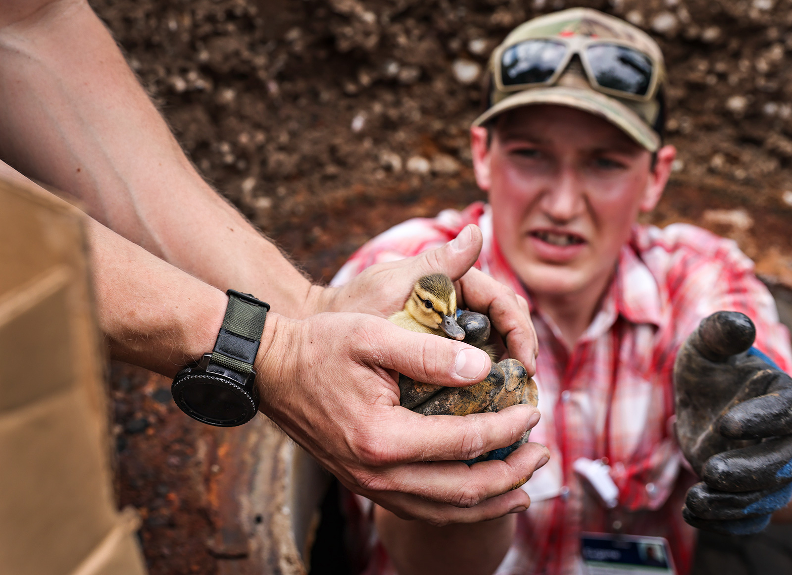 20210701_DUCK_RESCUE_081 Flathead Beacon