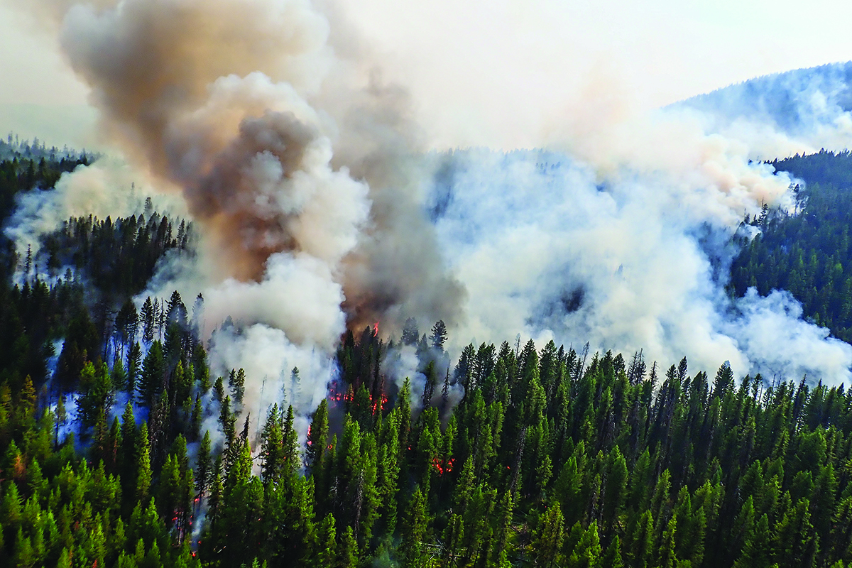 Flathead County ‘Luckier’ Than Some Areas as Worrisome Fire Season
