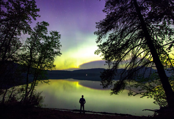 Star Light, Star Bright