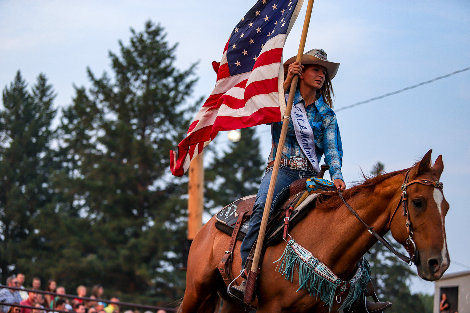 Bull Rodeo at the Blue Moon Flathead Beacon