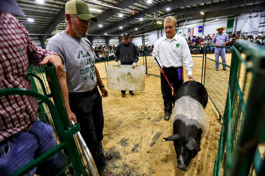 Officials Declare Fair a Rousing Success