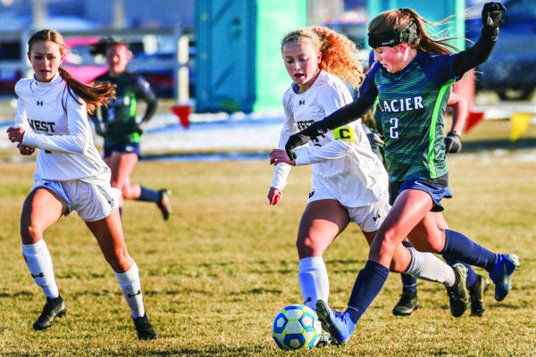 Professional Pedigree