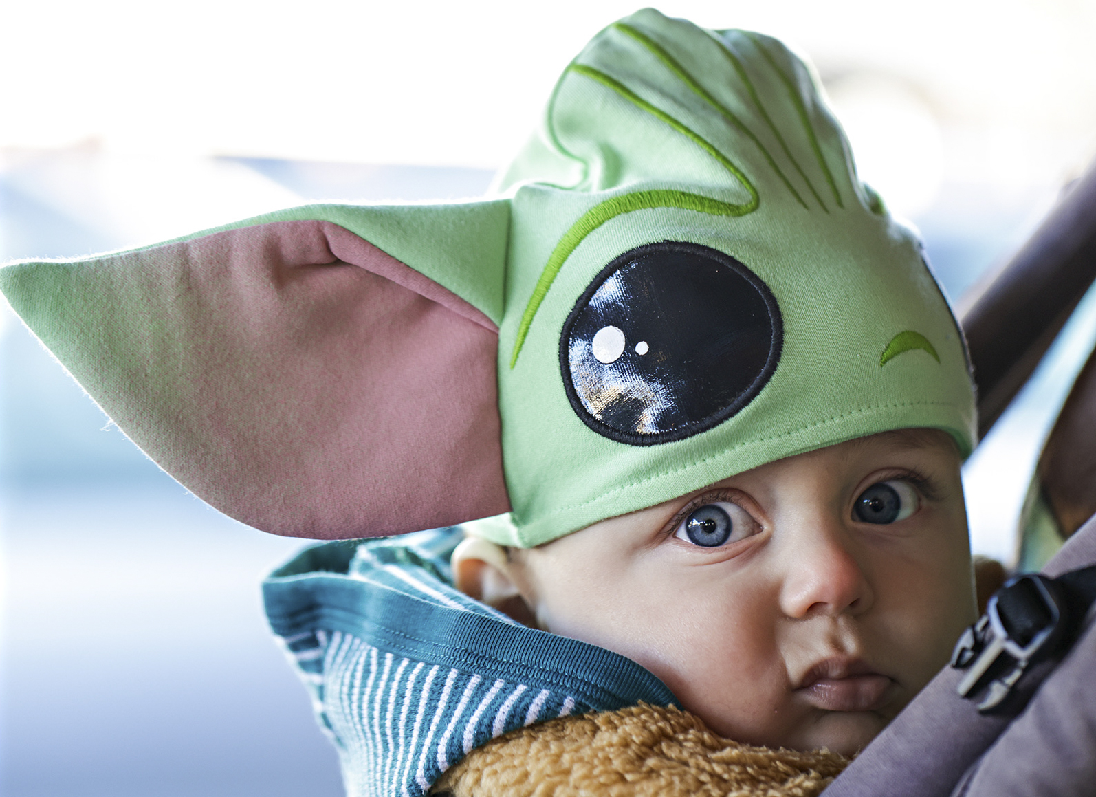 Faces Of Halloween - Flathead Beacon