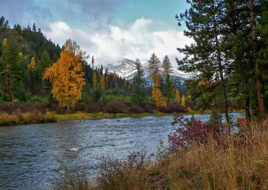 Norman Maclean Literary Festival Nets Speakers to Discuss ‘Public Lands and Sacred Ground’