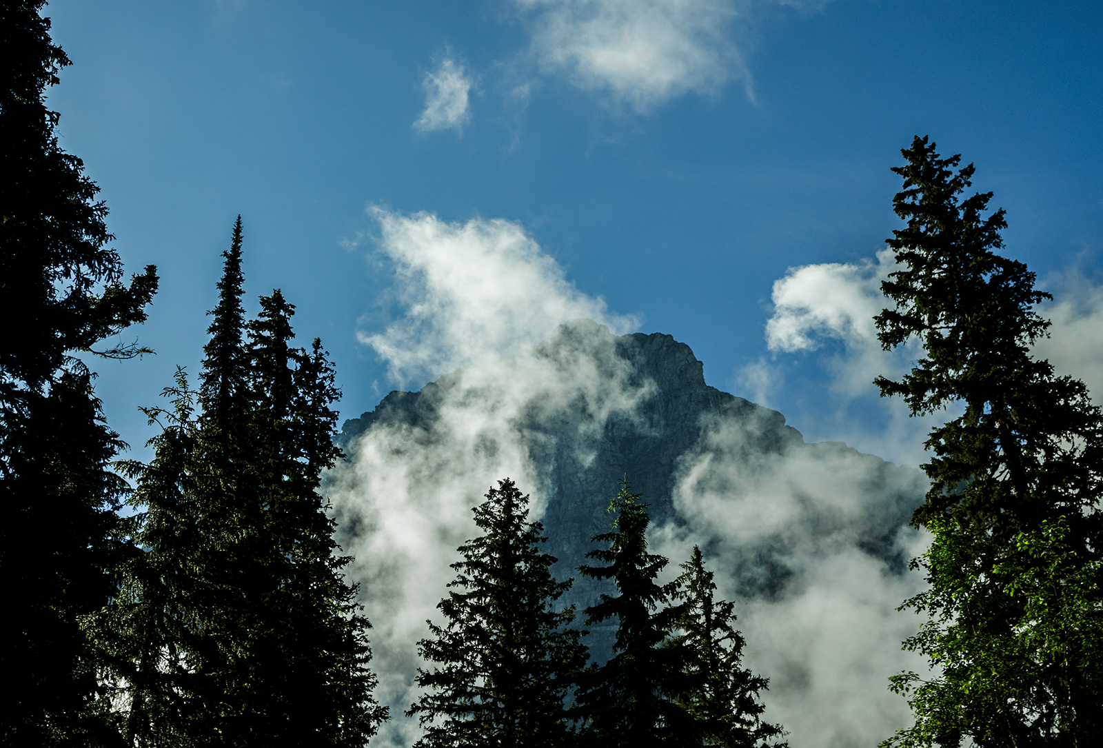 Plowing GoingtotheSun Road 2022 Flathead Beacon
