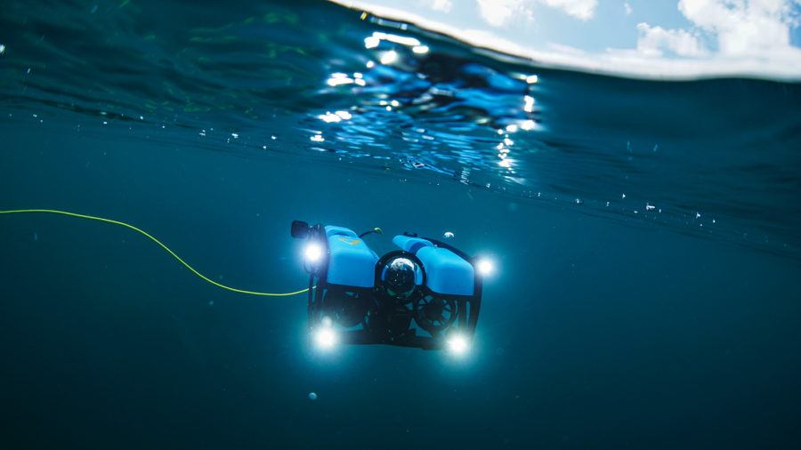 Underwater World - Flathead Beacon