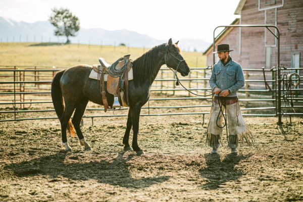 Companionable Silence