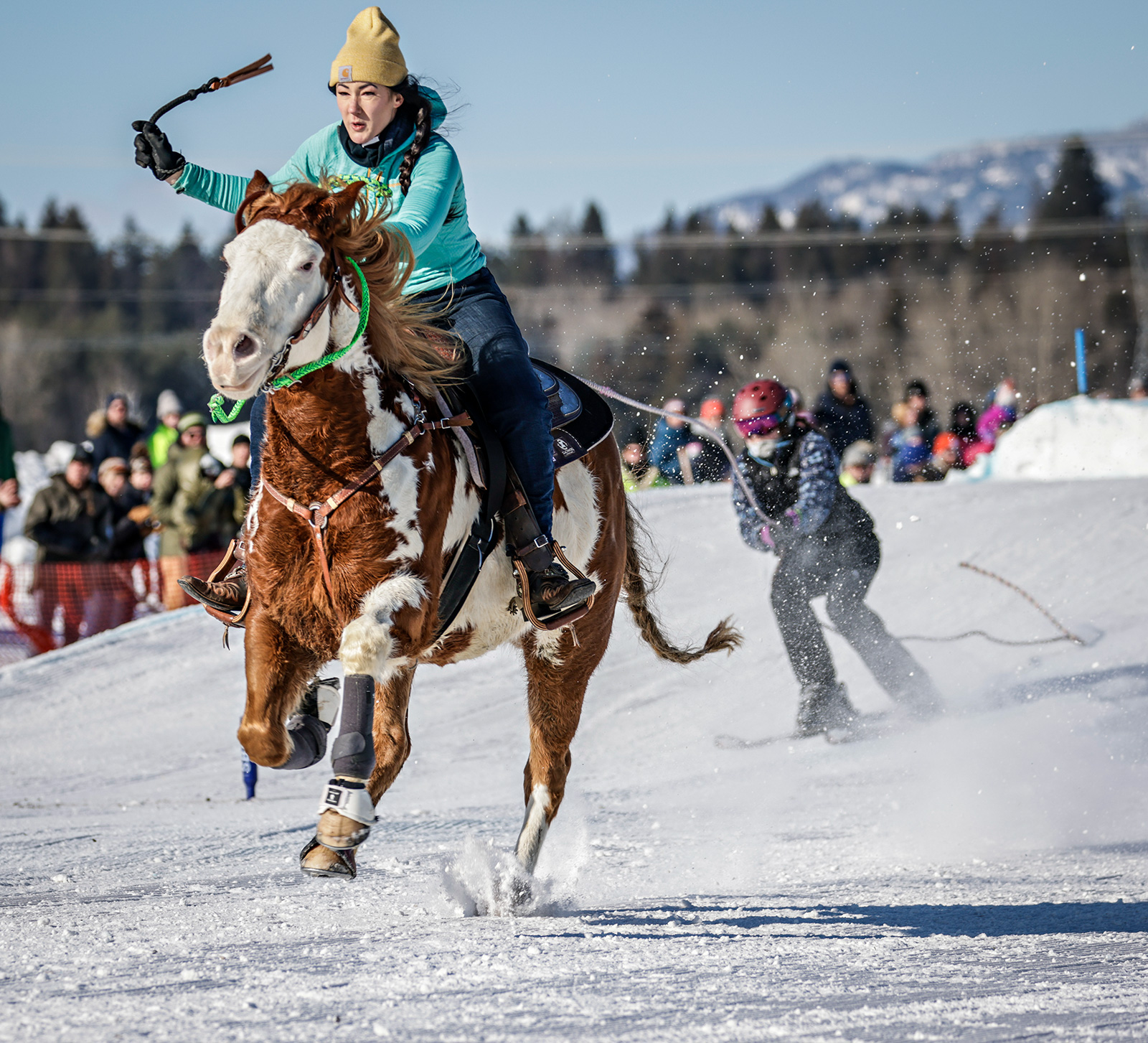 Skijoring - Flathead Beacon