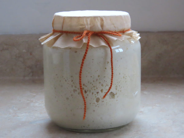 Sixth Annual Sourdough Giveaway