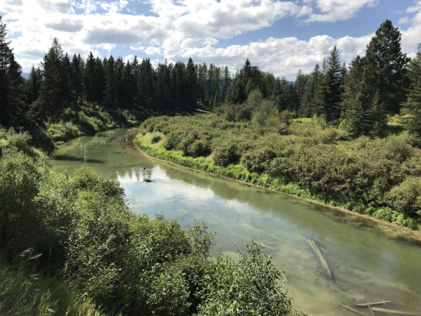 Four Decades of Preserving the Flathead Valley