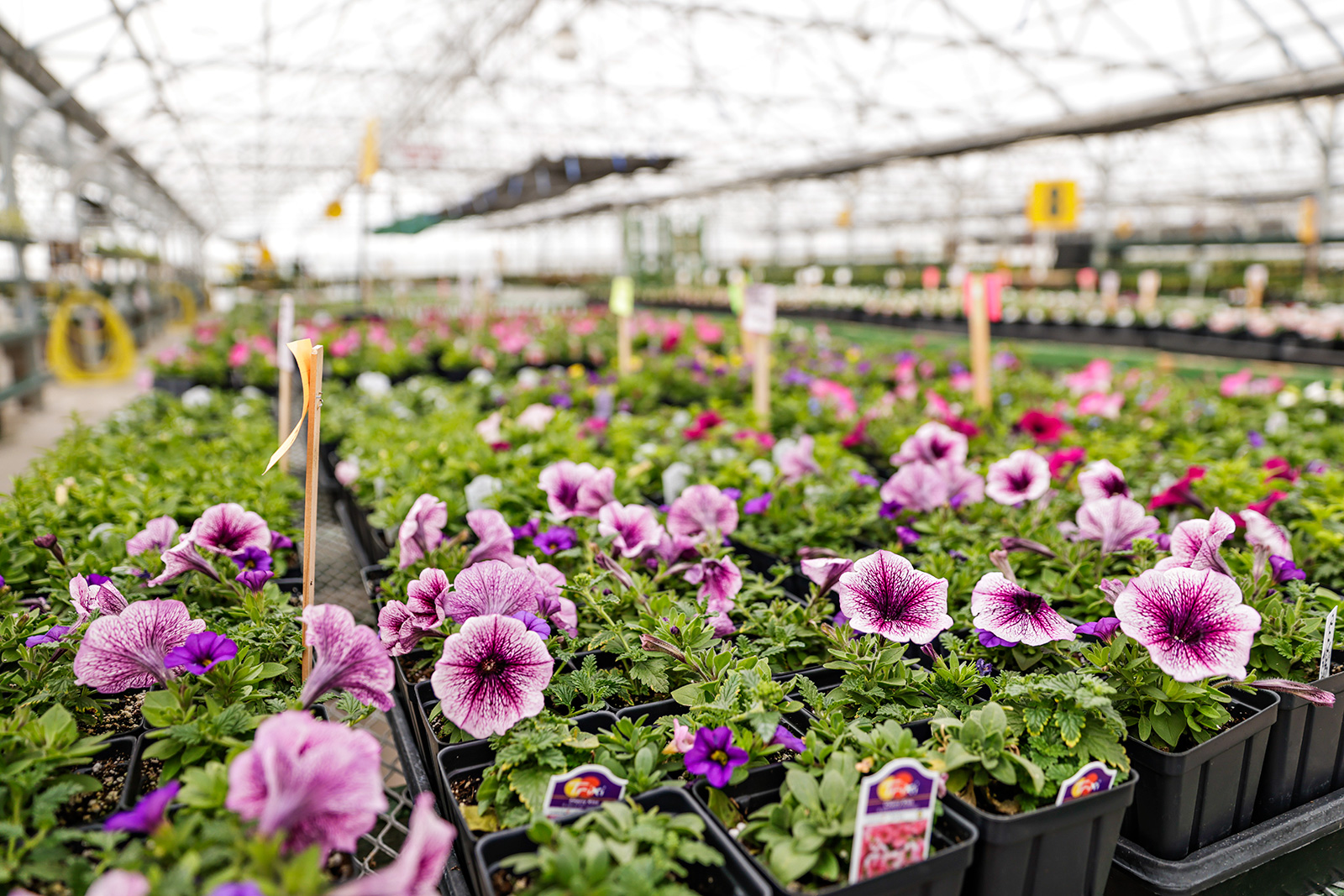 The Next Generation of Hooper’s Garden Center Flathead Beacon