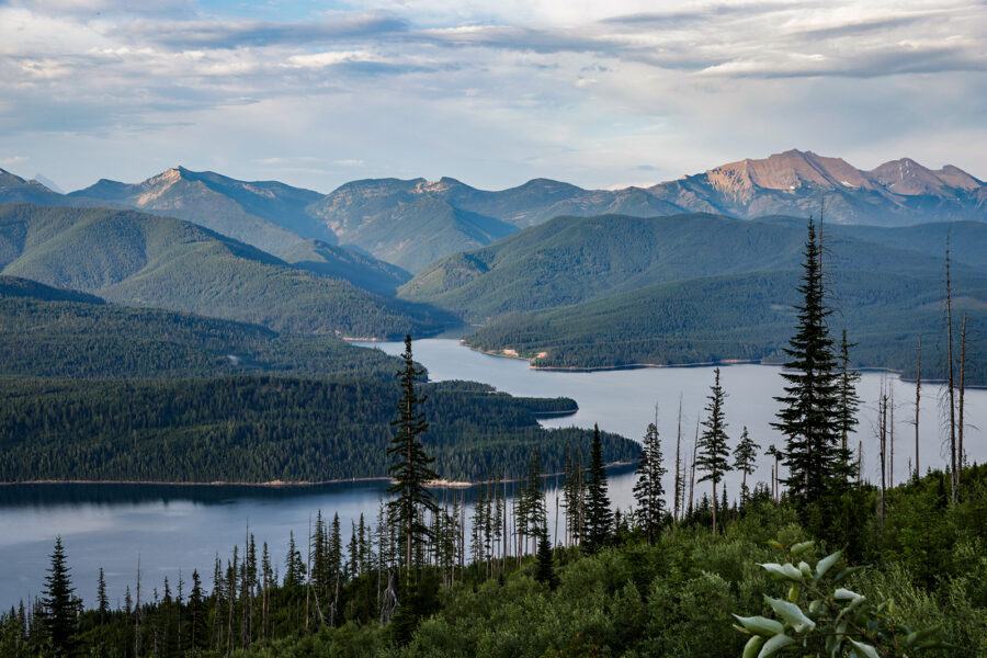 Flathead National Forest Authorizes Logging Project West of Hungry Horse Reservoir