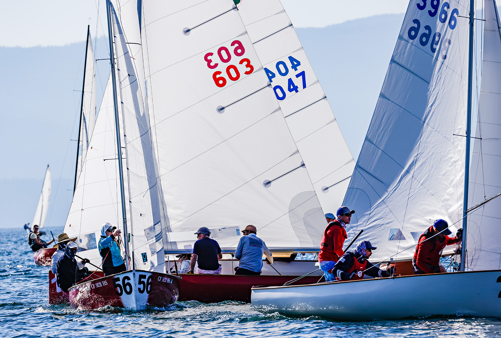 thistle sailboat nationals