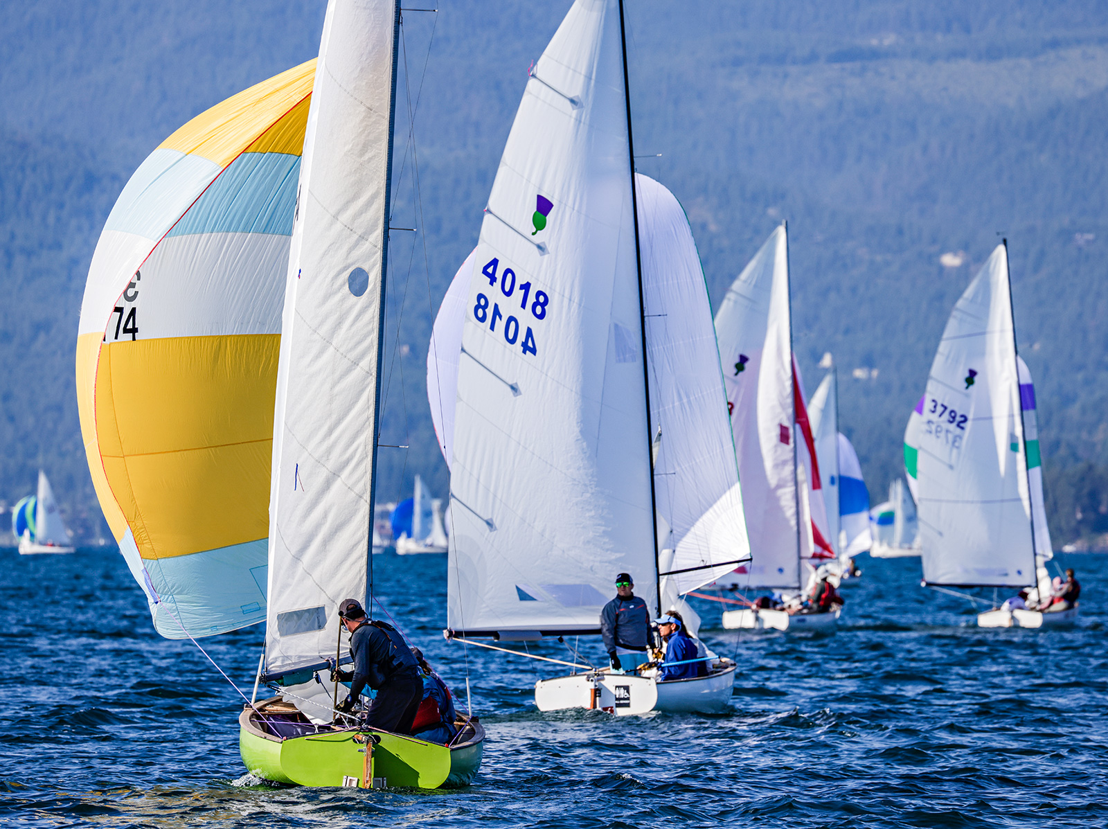 Thistle Nationals 2023 Flathead Beacon