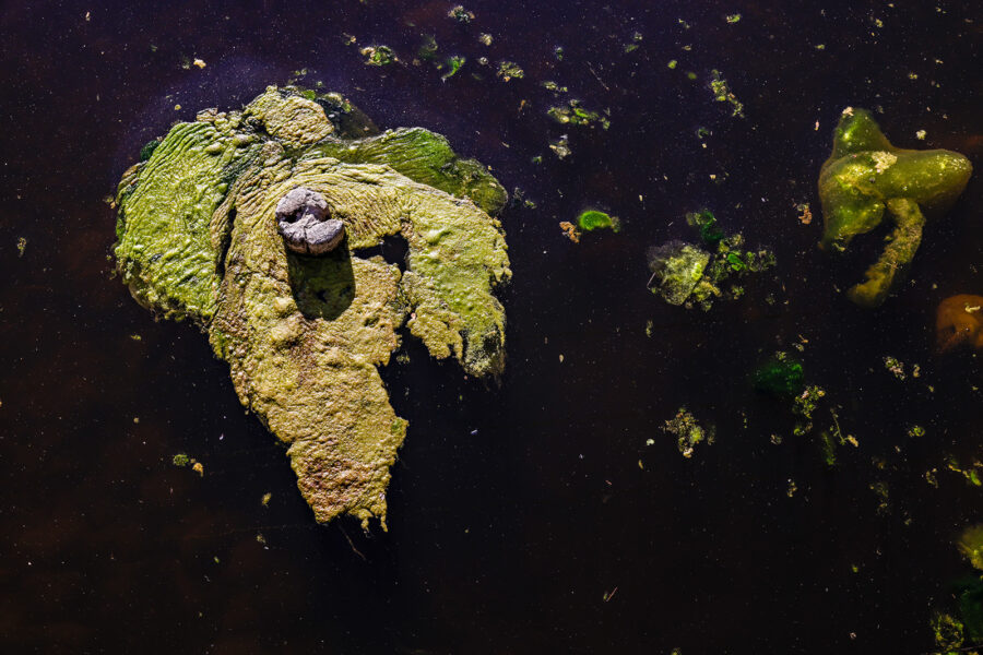 Federal Lawsuit Challenges Repeal of Montana Water Quality Standards