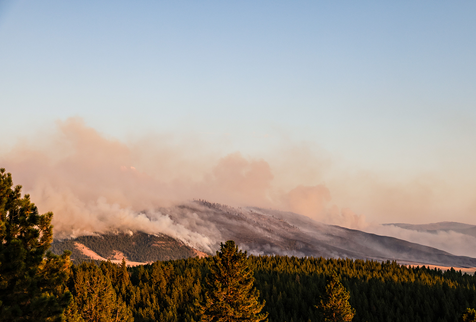 Lightning likely caused blaze in Brown's Canyon