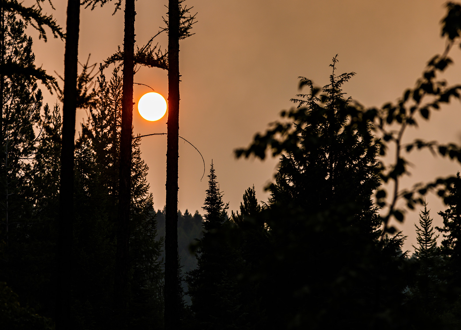 Land Managers Close Hungry Horse Reservoir As Ridge Fire Advances ...