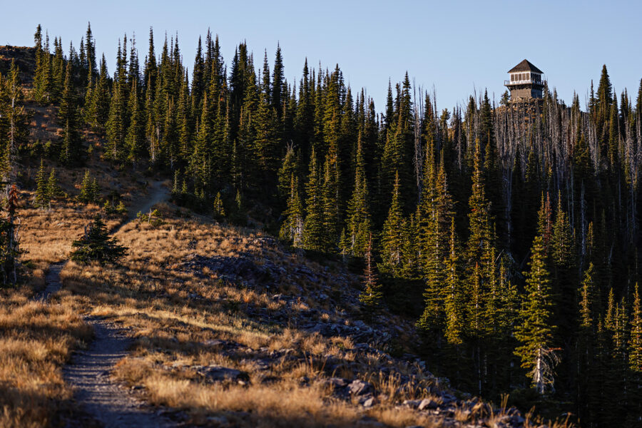 Report Details Fatal Glacier Park Grizzly Bear Attack