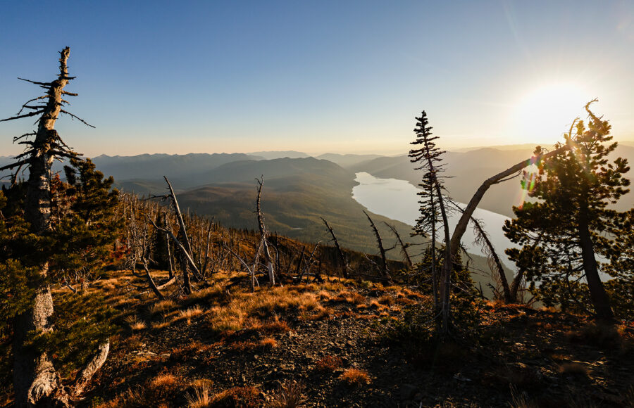 Missing Glacier National Park Hiker Killed in Apparent Bear Attack