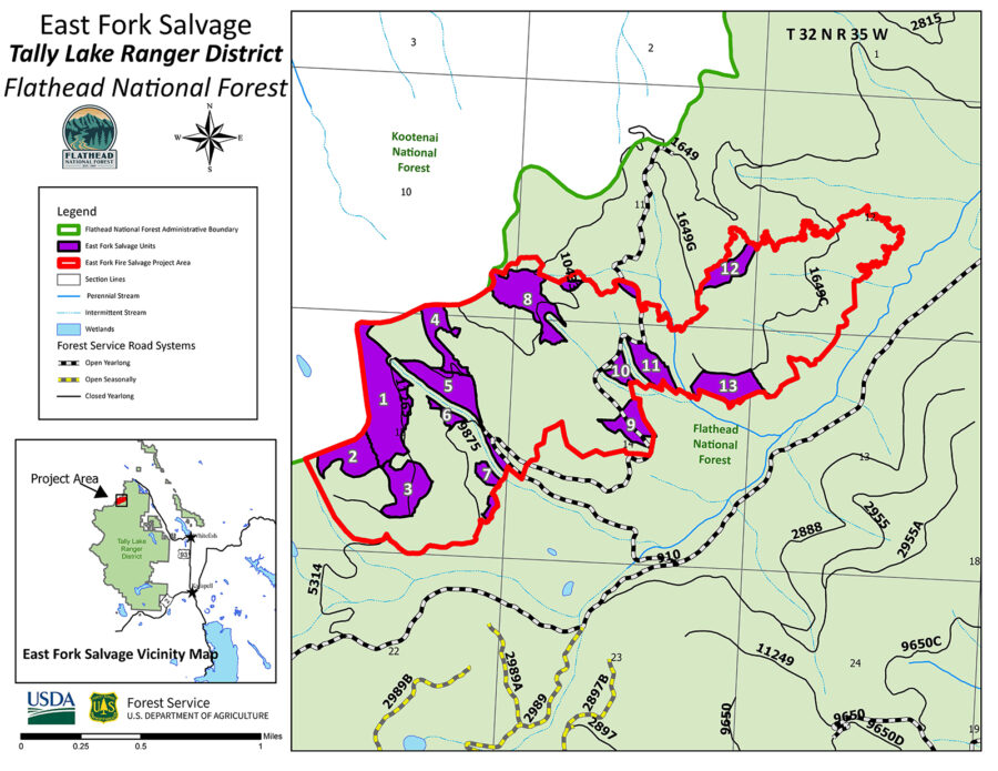 Flathead Forest Approves Salvage Project In East Fork Fire Scar Flathead Beacon