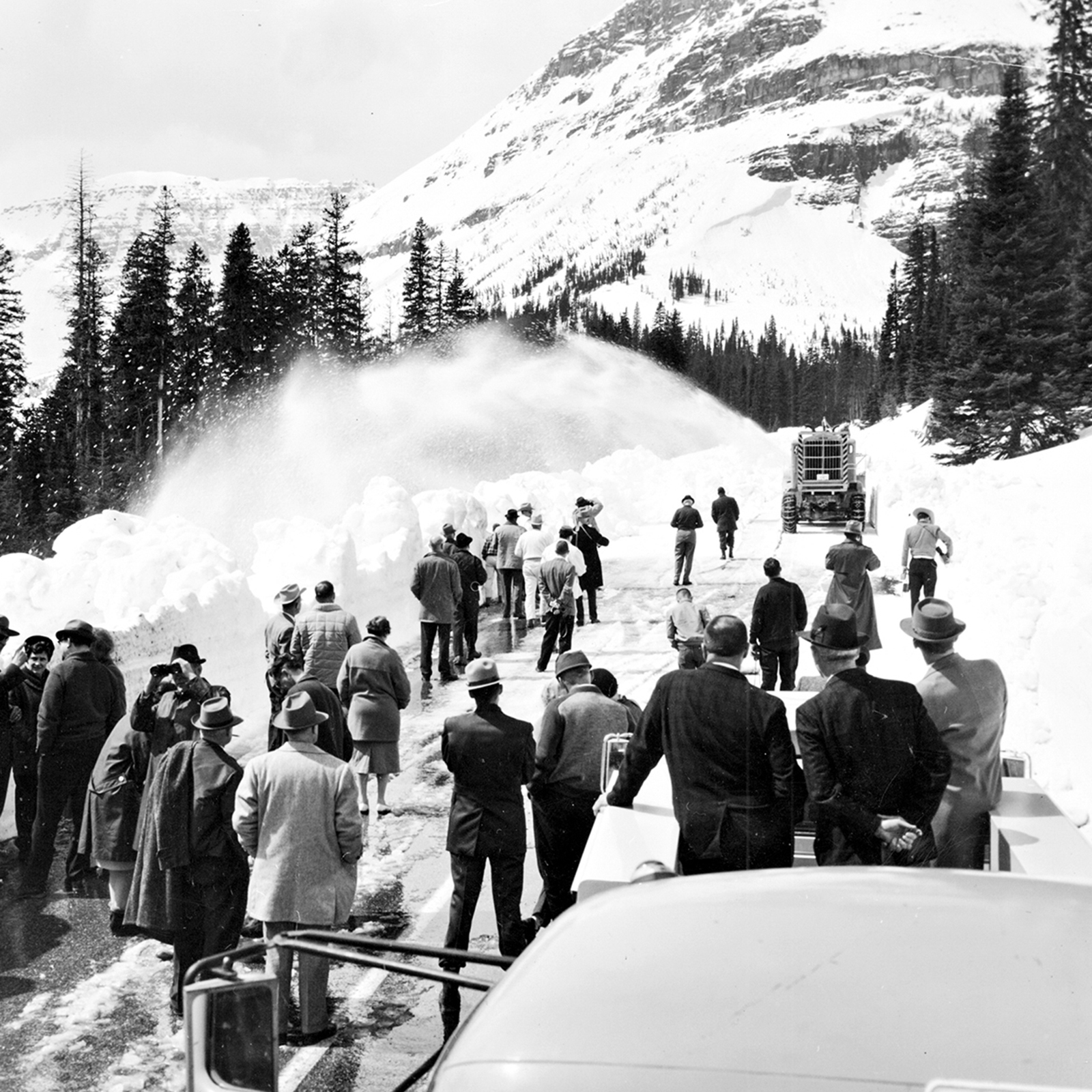 Snow Paradise, Red Lodge, Montana, Features